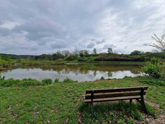 Schönbrunn - Romantisches Grundstück direkt am See - Landkreis Bamberg