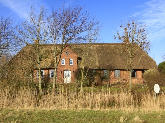 Hattstedter Marsch - Bauernhaus unter gemütlichem Reetdach in Alleinlage