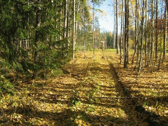 Lahti - Haus und Wald - NOTVERKAUF - Kreis Lahti