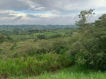 Agua buena - Bauplatz in Costa Rica Puntarenas