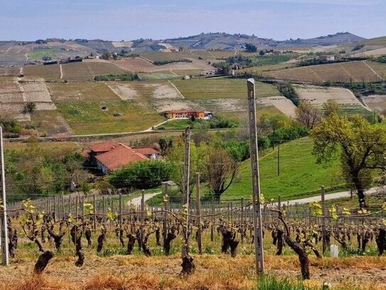 Coazzolo - Landhaus in Piemont 8km von Barbaresco entfernt