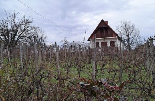 Mohács - Ferienhaus an der Donau in Baranya Ungarn