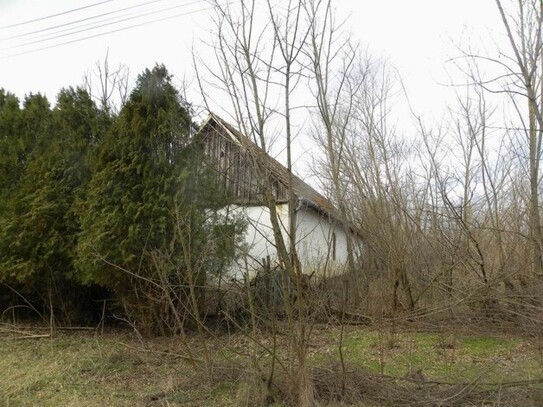 Csikéria - In Ungarn ein gunstiges Bauernhaus zu verkaufen