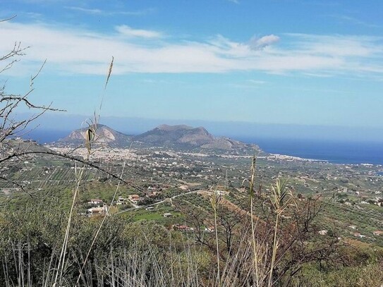 Casteldaccia - Olivenhain mit Meerblick auf Sizilien