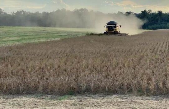 Tome-Acu - Grosse Soja Farm 2210 Hektar zum Verkauf in Brasilien