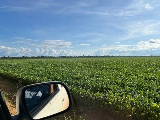 Paragominas - 7140 Hektar grosse Agro-Farm in Brasilien