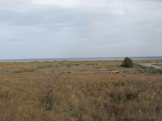 Agia Anna - Baugrundstück unmittelbar am Meer Griechenland