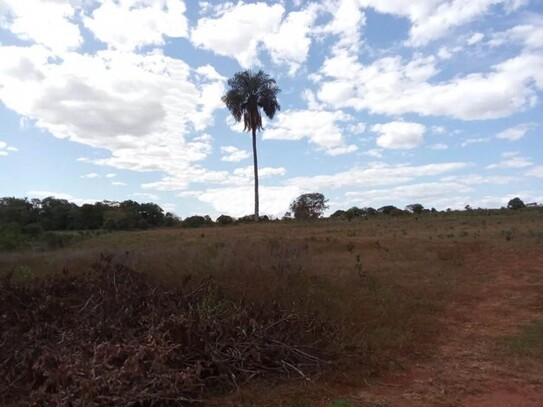 Coari - Brasilien 25500 ha Rohstoff Land Region Manaus Coari AM