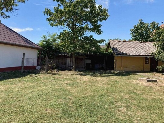 Poroszló - Familienhaus mit gepflegtem Garten am Theiß-See