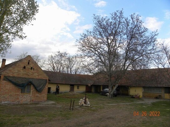 Kiskunmajsa - Süd- Ungarn ein Bauernhof mit 3 ha Land