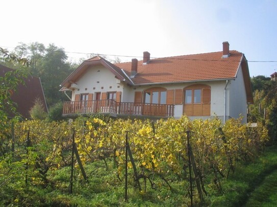 Sitke - Ferienhaus im Weinberg in Westungarn