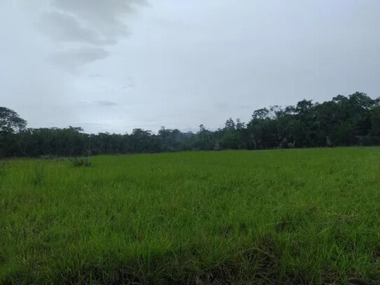 Castanhal - Bauernhof mit 7000ha Rohstoff Land in Para Brasilien