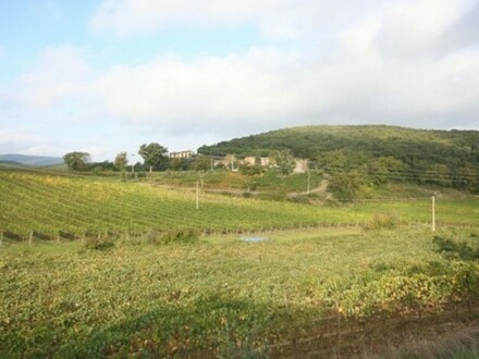 Montalcino - Weingut Toskana