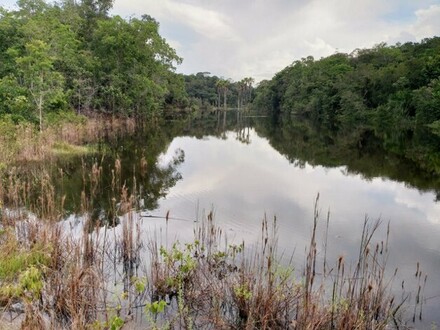 Itapiranga - Brasilien 1´500 Ha Farm Boa Vista mit Privatsee Region Itapi