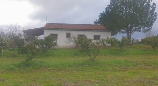 Villalba de Alcor - Haus für Austeiger Andalusien Spanien