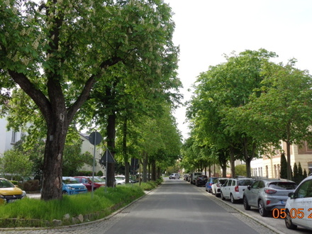 Naumburg (Saale) - schöne, kleine 3-Raum-Wohnung mit Balkon