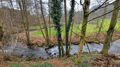 Wald-Michelbach - WOHNEN AM BACH