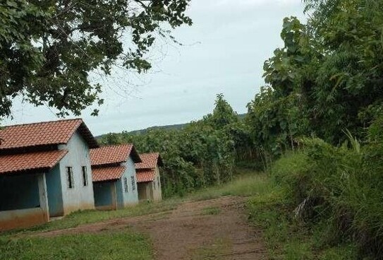 Lajeado - Teak Plantage in Brasilien