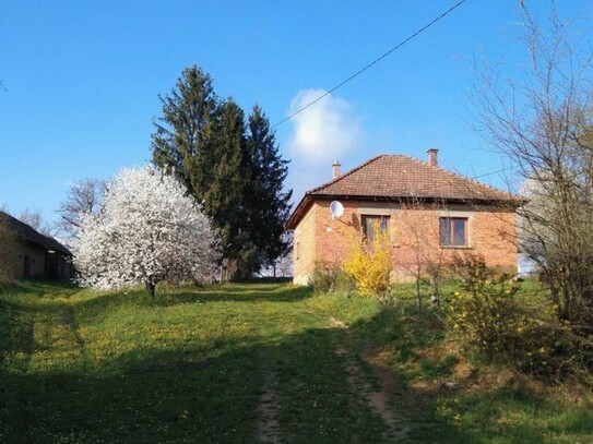 Szilvágy - Haus in Alleinlage in Zala mit Aronia Plantage