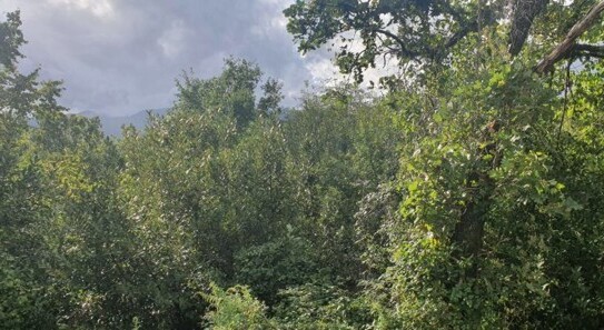 Kastav - Baugrundstück mit Meerblick neben der Straße