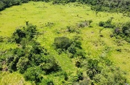 Silves - Tiefpreis Grundstück 1000 Ha mit Rohstoffen Brasilien