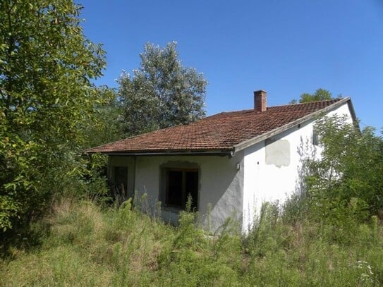 Kistelek - In Ungarn halbrenovierendes Bauernhaus mit Teich