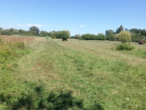 Belterület-külterület - Baugrundstücke in Nemesvid