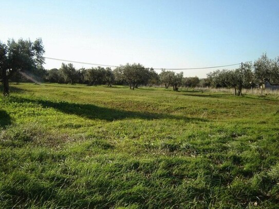 Galizana - Bau-Grundstück in Kroatien Istrien bei Pula