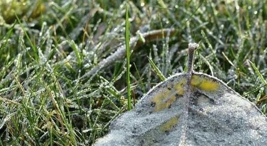 Heringen / Werra - Grundstück zu verkaufen