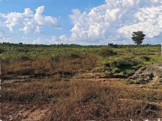 Pauini - Brasilien 27.000 Ha Tiefpreis-Grossgrundbesitz mit Rohstoffe