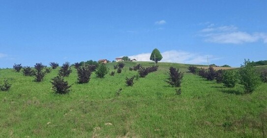 Laktasi - Haus Verkauf in Bosnien und Herzegowina