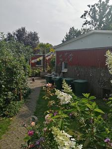 Tespe - IDYLLISCH WOHNEN MIT SOLAR UND TERRASSE