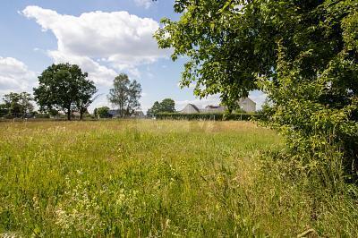 Annaburg - IHR TRAUM IN ZAUBERHAFTER WALDRANDLAGE