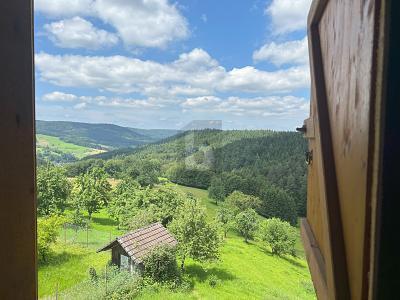 Schuttertal - UNVERBAUBARE LAGE, VIELFÄLTIGE NUTZUNG