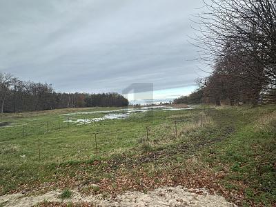 Zierow - EINZIGARTIG UND NATURBELASSEN MIT BAUGRUNDSTÜCK