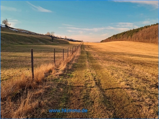 Wernigerode - 3,2 ha Ackerland bei Darlingerode und Wernigerode