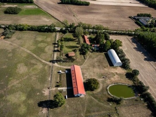 Lajosmizse - Gepflegte Pferdefarm in Ungarn