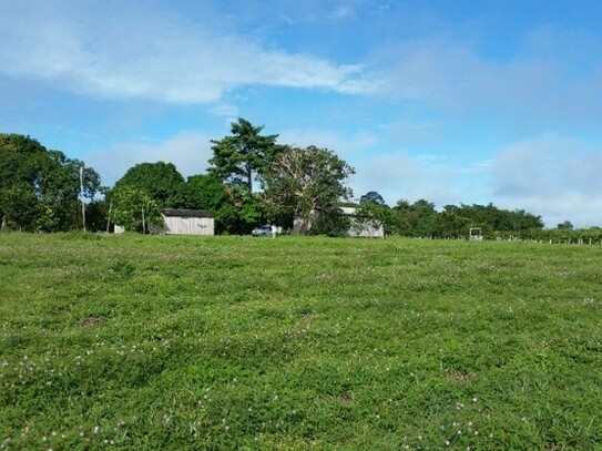 Barra do Sirinhaem - 300 Ha Orangen Kokosnuss und Birnenfarm