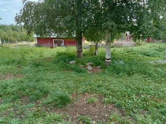 Jamali/Finnland - Bauernhof mit 4 Pferdeboxen in Finnland