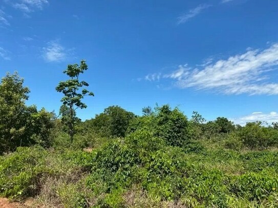 Presidente Figueiredo - Brasilien riesengrosses 3.000 Ha Tiefpreis-Grundstück