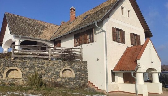 Lesencetomaj - In Ungarn Plattensee 8,5 Ha Weinanwesen + Einfamilienhaus