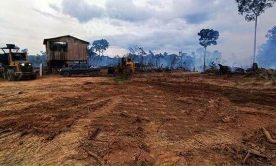 Humaita - Brasilien 1500 Ha Rohstoff Land zu verkaufen