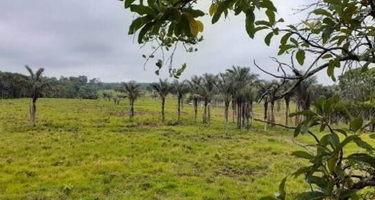 Silves - Brasilien riesengrosses 3´000 Ha Grundstück mit Rohstoffen