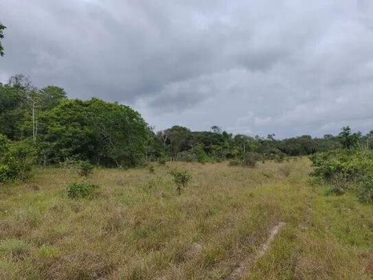 Pauini - Brasilien 12000ha Tiefpreis Großgrundbesitz mit Rohstoffen