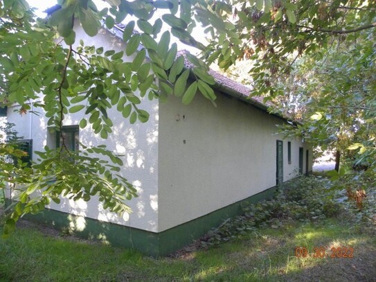 Üllés - Gepflegter ruhiger 80 m2 Bauernhof in Ungarn