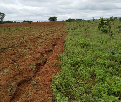 Barra do Graças - Landwirtschaft mit 3580 ha in Brasilien