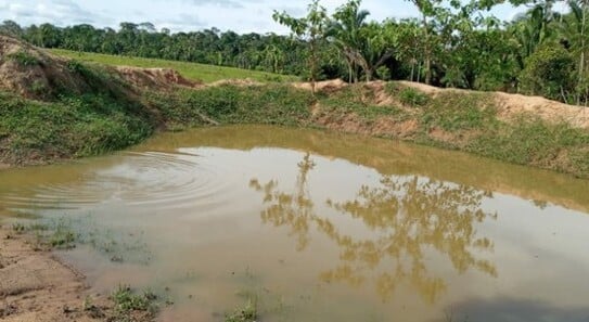 Manicore - Brasilien 20´000 Ha Farm mit Rohstoffen bei Mancore