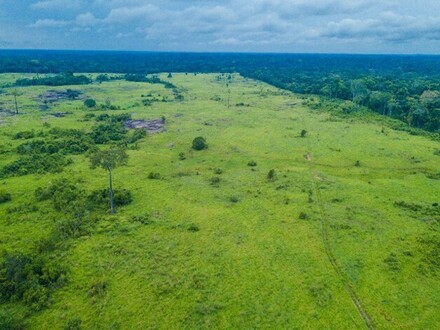 Autazes - Brasilien 796 Ha billiges-Land mit Rohstoffen