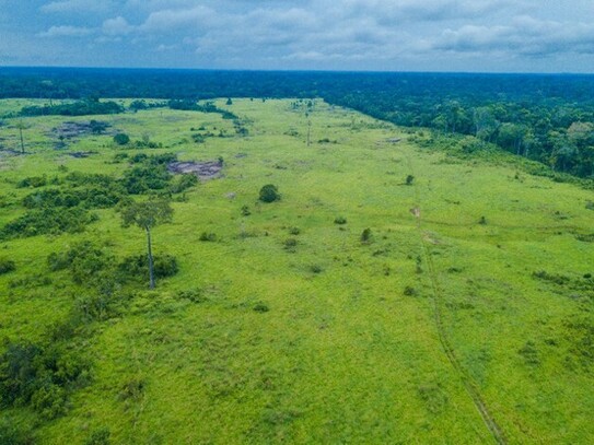 Autazes - Brasilien 796 Ha billiges-Land mit Rohstoffen