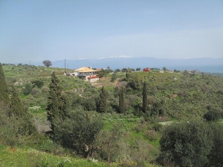 Koroni - Bauland mit Terrassen und Olivenbäumen Peloponnes